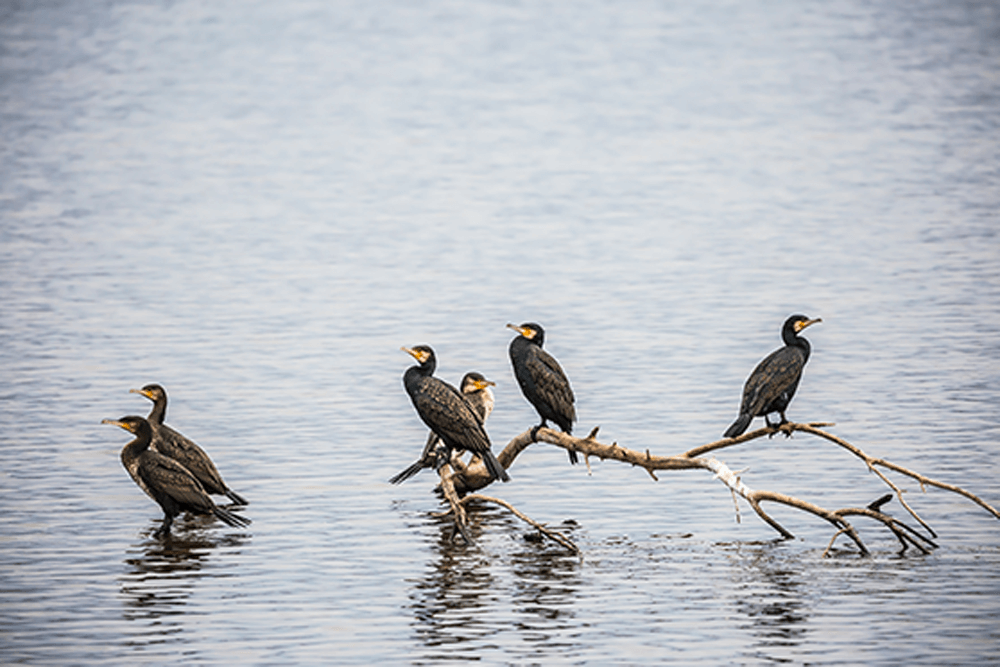 הצצה: מקורות המים הכי יפים בישראל